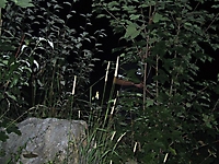 TVReise_Leukerbad_66
