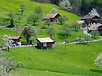 P1010046