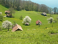P1030194