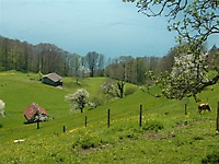 P1030195