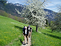 P21010013