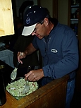MaTuHoeck2005_8