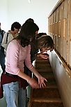 DRReise2006_30