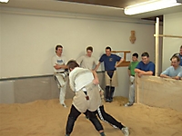 TVSchwingen06_16