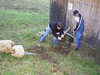 Alpigle07_10