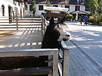 DRReise08_21