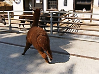 DRReise08_28