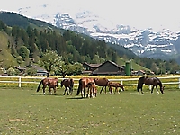 Turnfahrt09_46