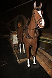 2009-10-17_TVReise09_0308