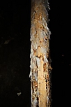 2009-10-17_TVReise09_0334