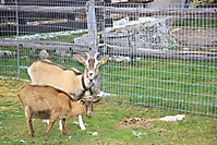 2009-10-17_TVReise09_0552
