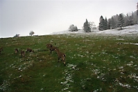 2009-10-17_TVReise09_0635