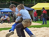 Buebeschwinget