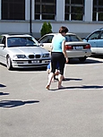 Turnfest10_ _49_