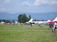 Turnfest10_ _7_