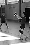 VolleyMaxMeierWeekend2010_50