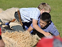 Buebeschwinget_2011-TVS_030