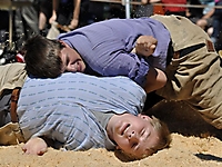 Buebeschwinget_2011-TVS_293