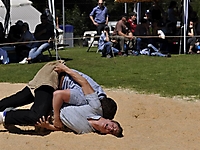 Buebeschwinget_2011-TVS_571