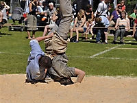 Buebeschwinget_2011-TVS_674