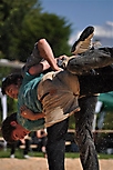 Buebeschwinget_2011-TVS_699