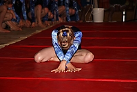 Passivabend2011_131