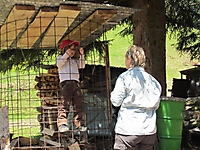 MUKI-Reisli_2012_007