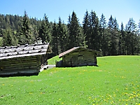 MUKI-Reisli_2012_017
