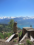 MUKI-Reisli_2012_030