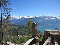 MUKI-Reisli_2012_031