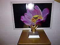 MR-Reise_2013_018