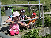 MUKI-Reisli_2013_008