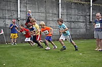 gSigriswiler2014_321