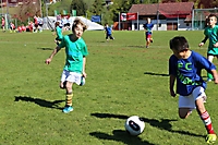 Fussballturnier2014_021