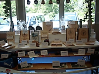 BuebeschwingetTVS2015_080