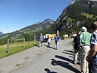 DRReise2015_008