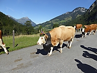 DRReise2015_009
