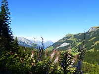 DRReise2015_047