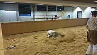 SchwingenTVS_2015(Herren)_010