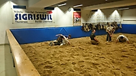 SchwingenTVS_2015(Herren)_023