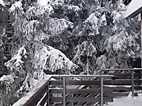SkirennenJugend_2015_022
