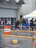 KTF2016-TVS_024