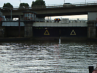 TVS_HamburgDamen2017_035
