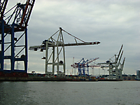 TVS_HamburgDamen2017_040