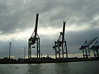 TVS_HamburgDamen2017_042