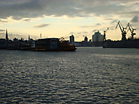 TVS_HamburgDamen2017_109