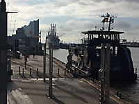 TVS_HamburgDamen2017_146