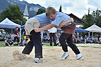 Buebeschwinget