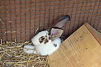 TVS_Buebeschwinget2023_065
