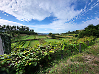 TVS_MaTuReise_2023_099
